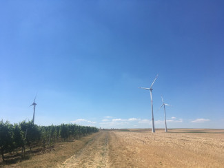 Windräder im Feld