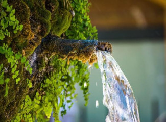 Brunnen in freier Natur